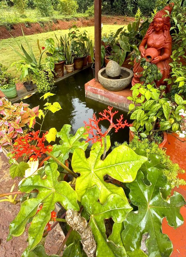 Coorg Coffee Park Farmstay Somvarpet Экстерьер фото