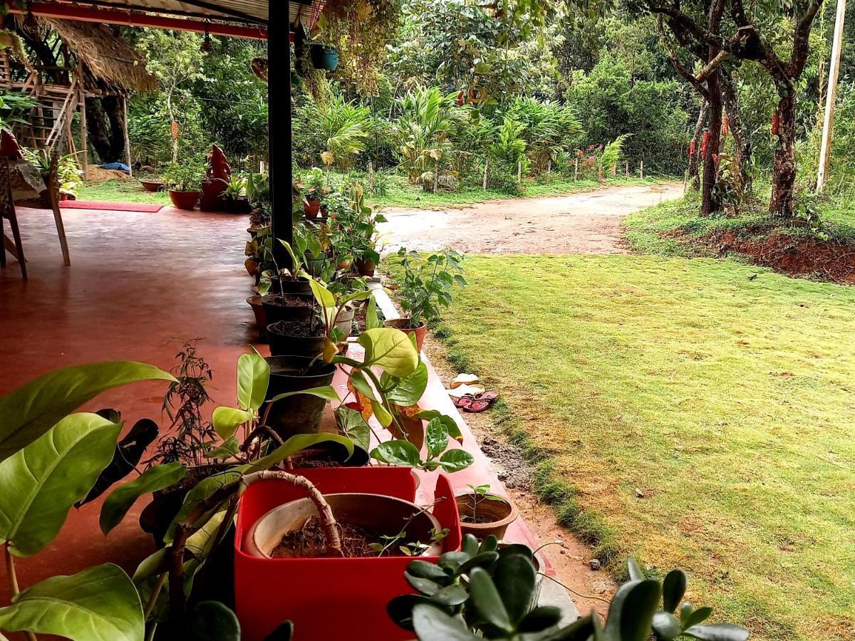 Coorg Coffee Park Farmstay Somvarpet Экстерьер фото