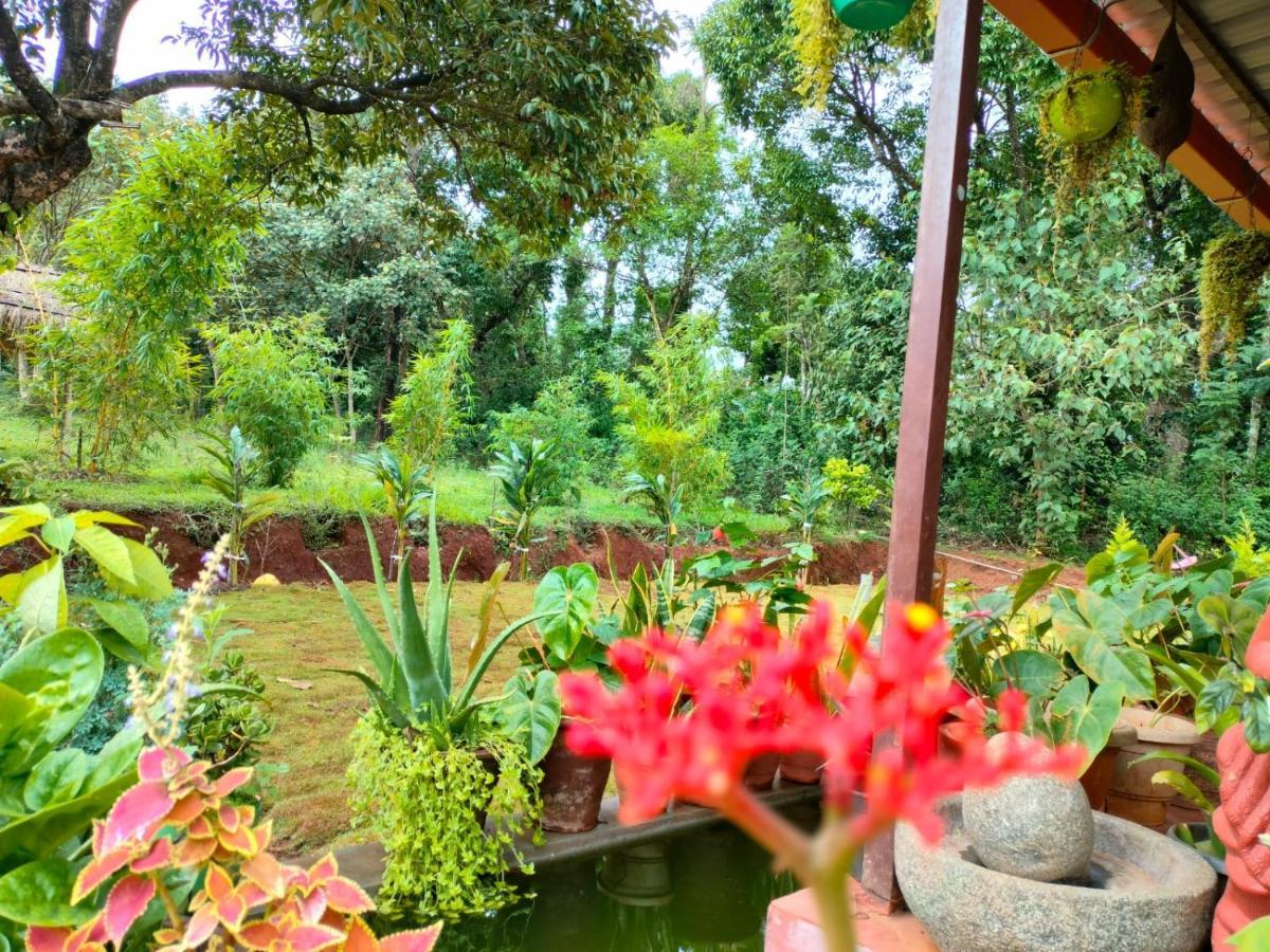 Coorg Coffee Park Farmstay Somvarpet Экстерьер фото