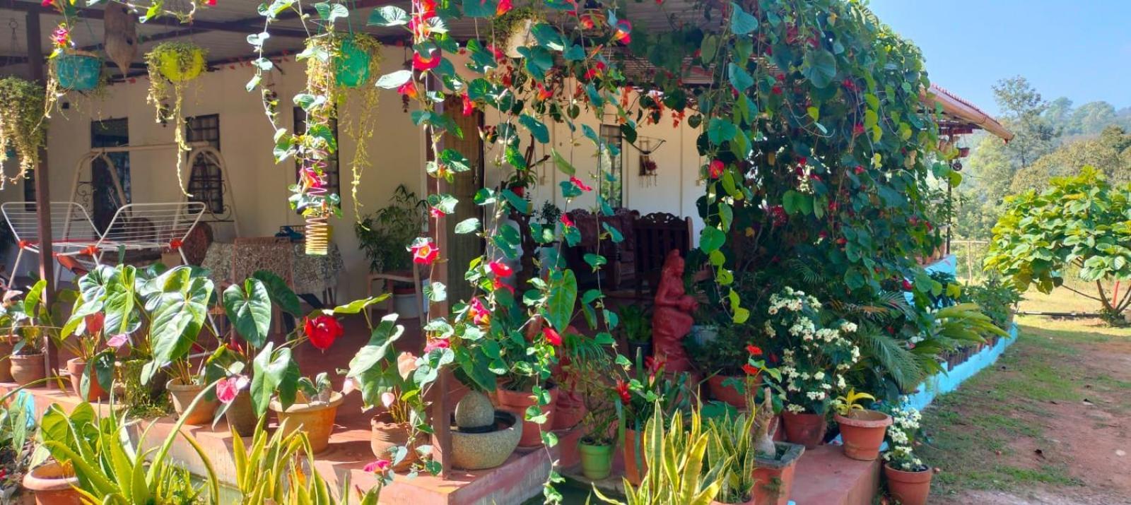 Coorg Coffee Park Farmstay Somvarpet Экстерьер фото