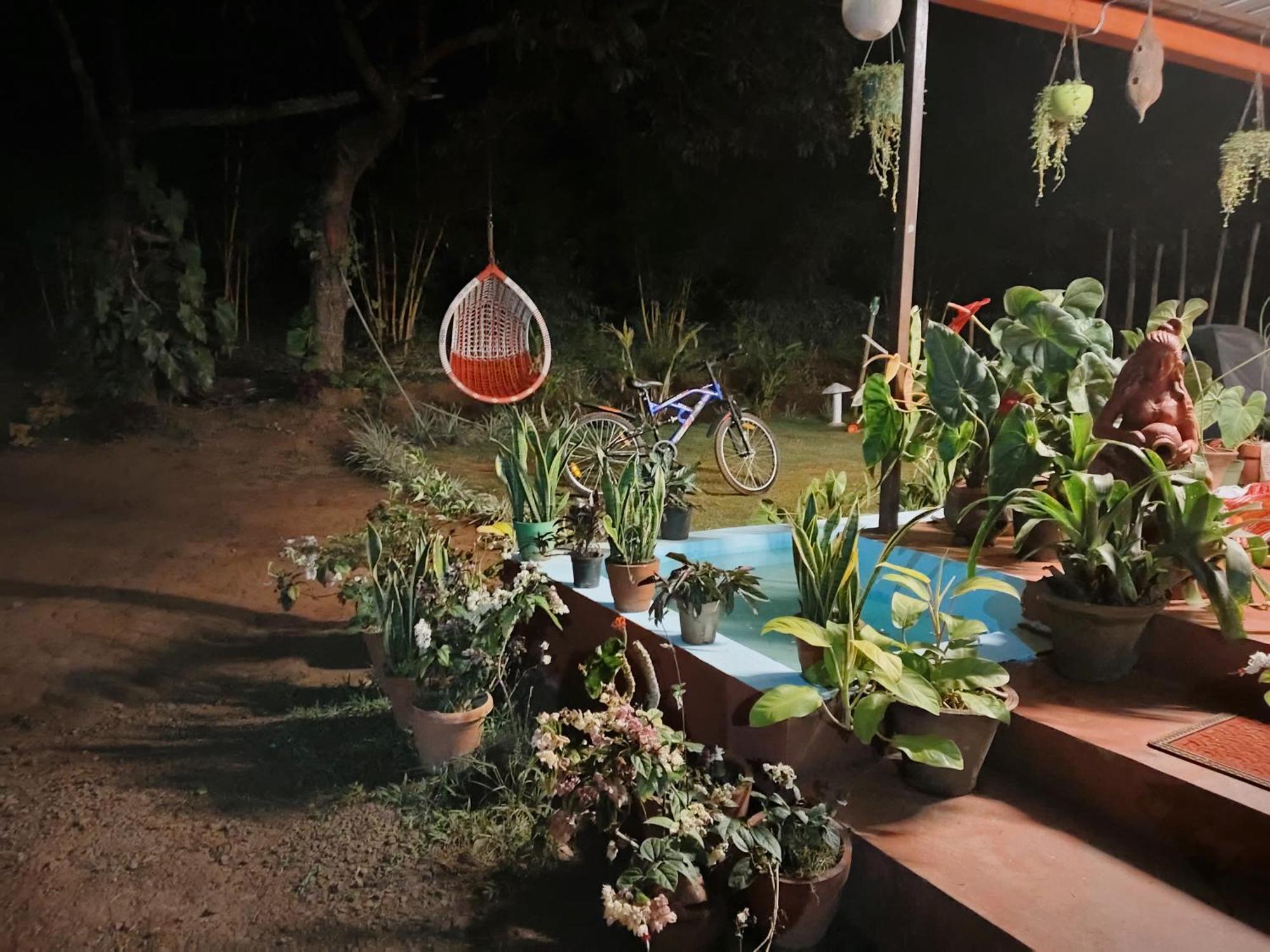 Coorg Coffee Park Farmstay Somvarpet Экстерьер фото